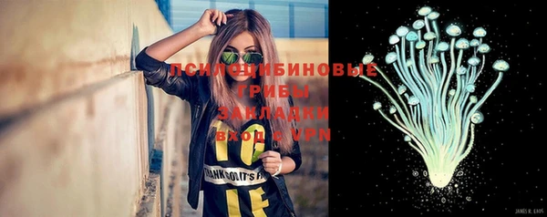 ALPHA PVP Алексин