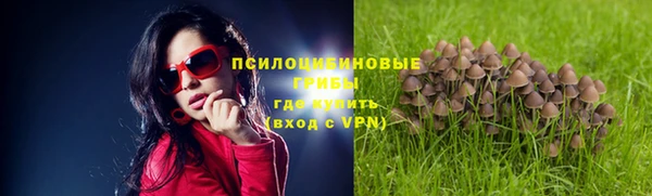 ALPHA PVP Алексин