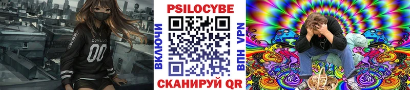 Псилоцибиновые грибы Cubensis  Старая Купавна 